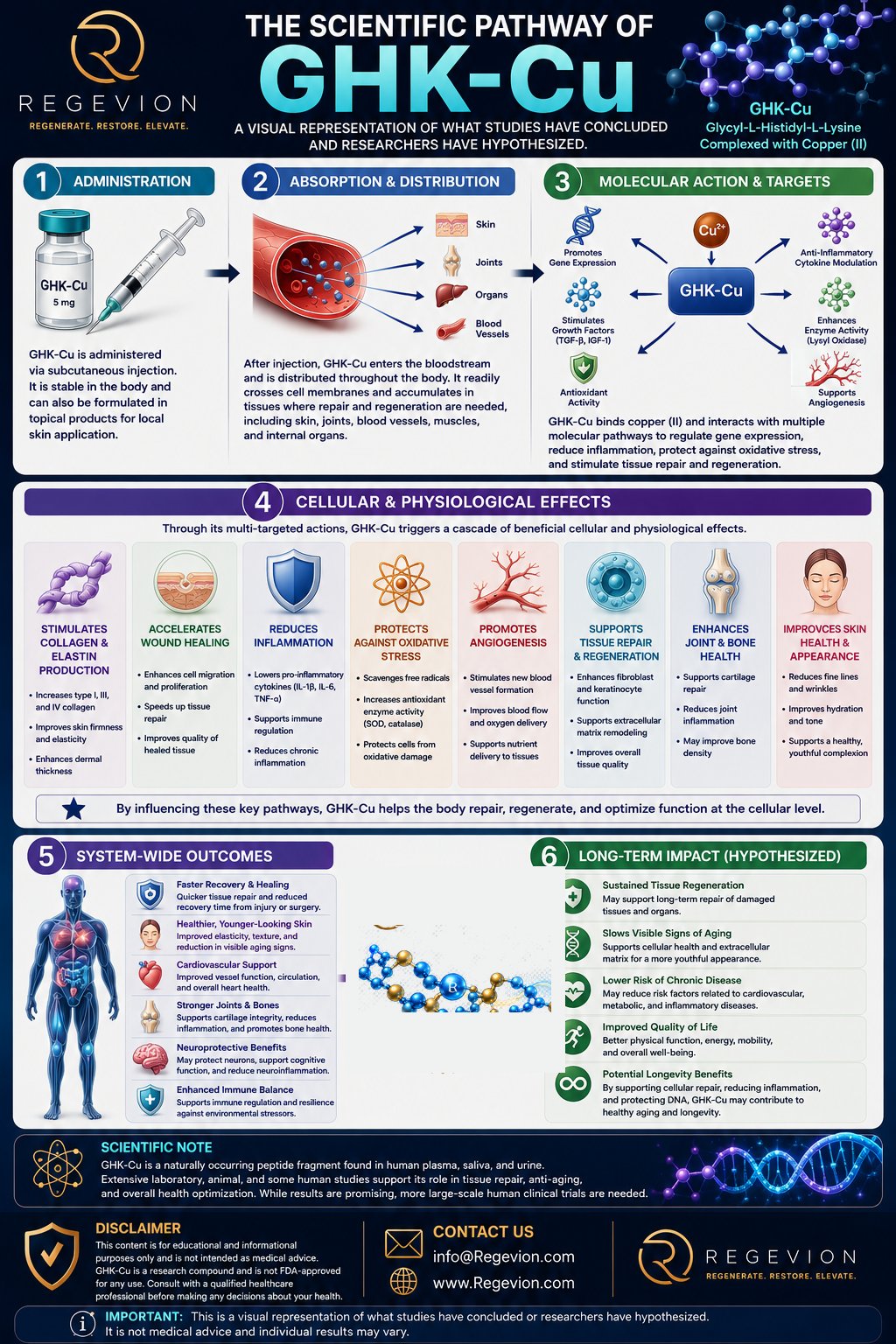 GHK-Cu scientific pathway infographic