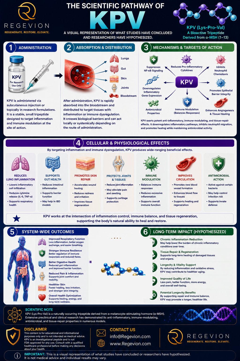 KPV scientific pathway infographic