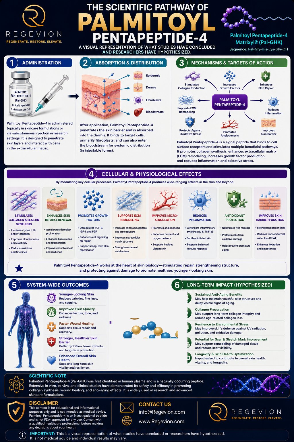 Palmitoyl Pentapeptide-4 scientific pathway infographic