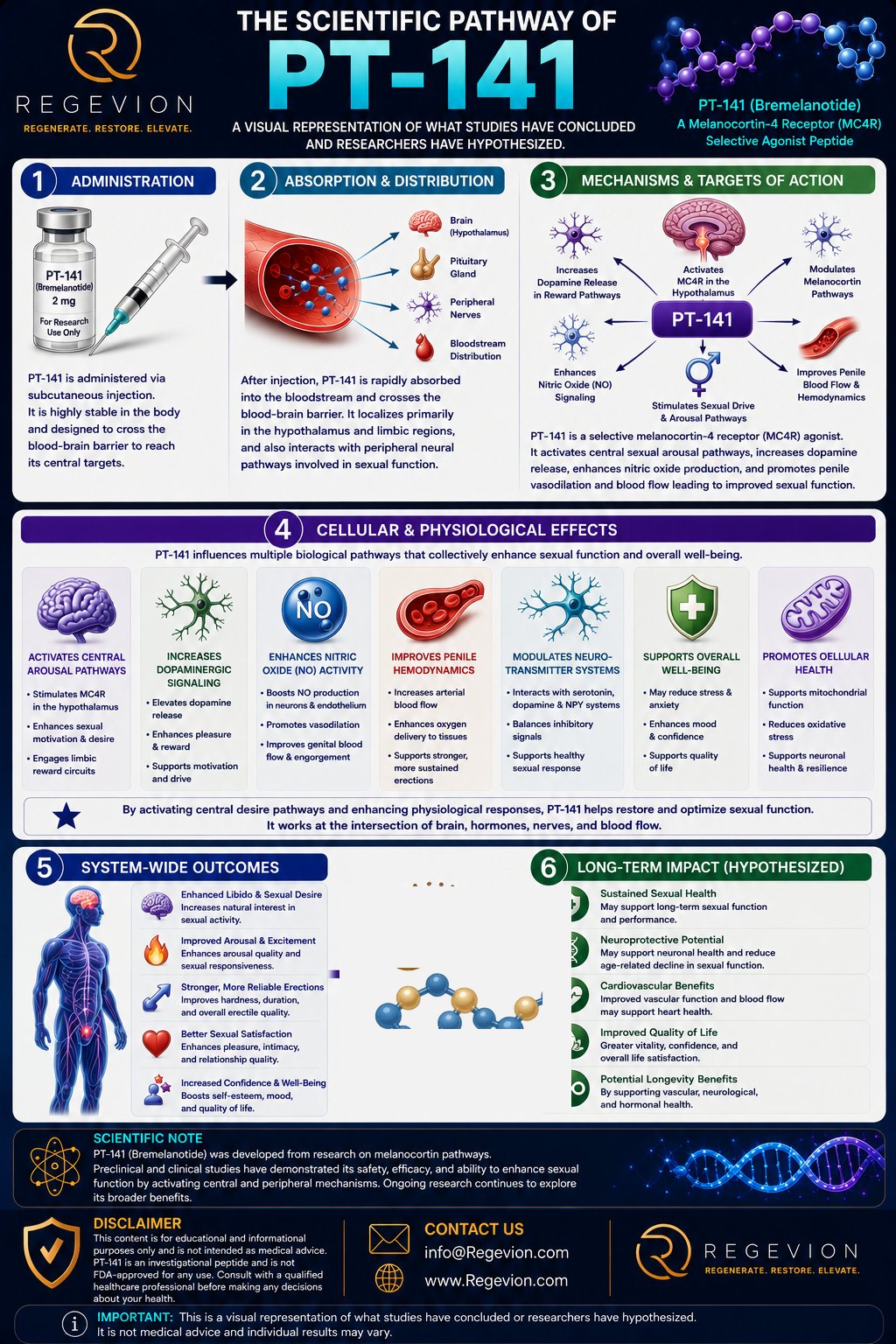 PT-141 scientific pathway infographic